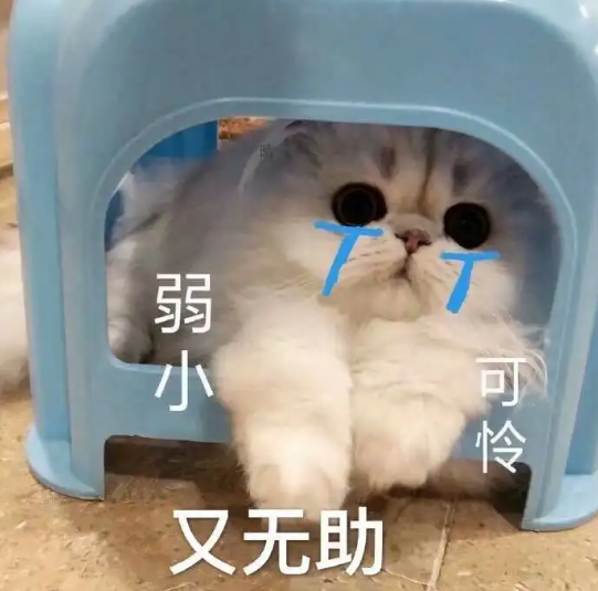 國(guó)際快遞